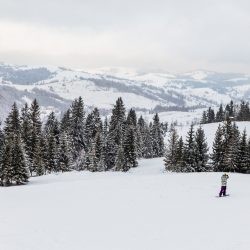 пилипец