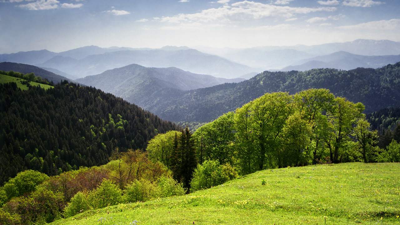 Национальный парк Боржоми Грузия фото летом